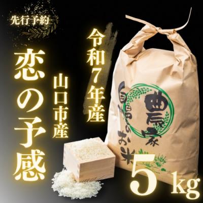 ふるさと納税 山口市 農家直送!山口市産新米「恋の予感」精米5kg D397
