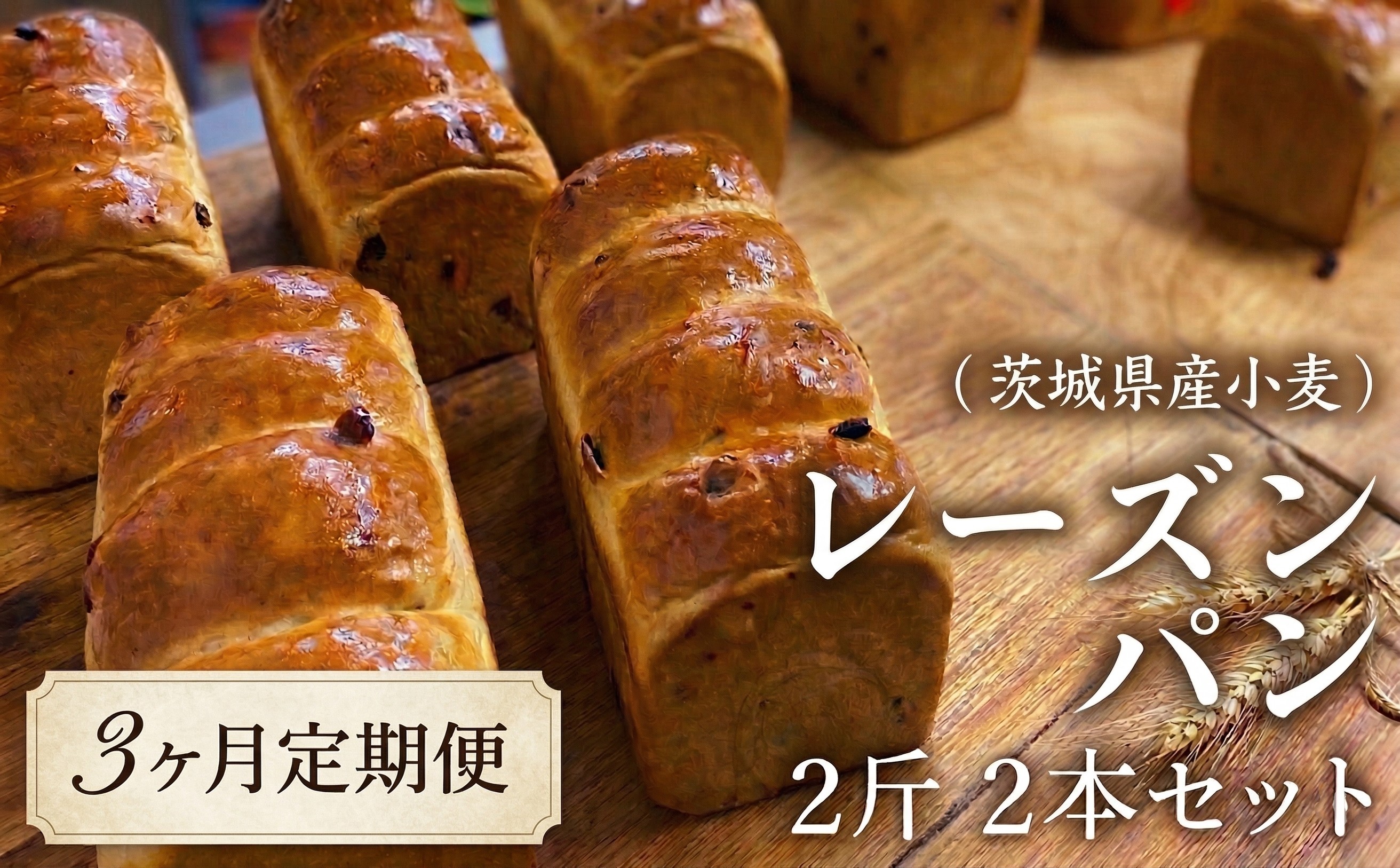 
            【 3ヶ月 定期便 】茨城県産 小麦の レーズンパン 2斤 2本 セット 食パン パン 小麦 冷凍 レーズン プレゼント ギフト [AU020ci]
          