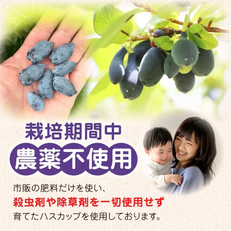 カナダ産 苫小牧市民還元 ハスカップジャム 435g（1瓶） T044-017 果物 加工品