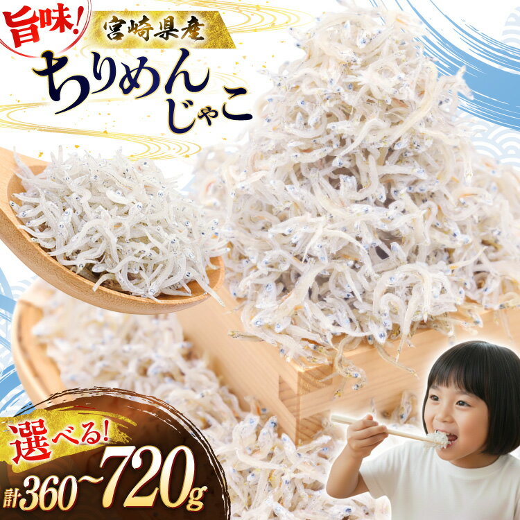 【ふるさと納税】 ちりめん 宮崎県産 無添加 ちりめんじゃこ 選べる 360g 720g [幸脇漁業生産組合 宮崎県 日向市 452061676] じゃこ 国産 しらす干し 小分け ジャコ 保存料不使用