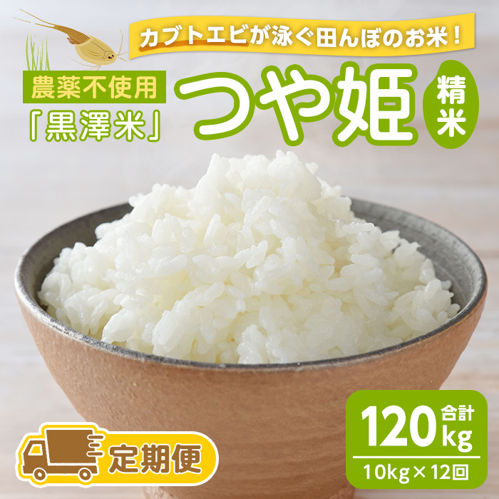 【12回定期便】農薬不使用 つや姫 精米 合計120kg(10kg×12回)＜カブトエビ田んぼで育てたお米＞ 黒澤米 宮城県登米市産 おこめ 米 コメ 白米 ご飯 ごはん おにぎり お弁当 頒布会 【株式会社天体】tm454