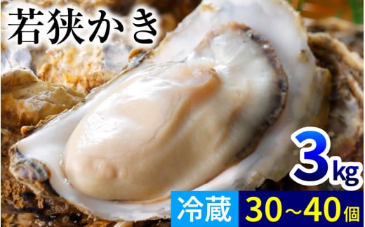 【先行予約/11月下旬より順次発送】【期間限定】若狭小浜ブランド 若狭かき（加熱用）3Kg 30〜40個入り  【配送不可地域：北海道・沖縄・離島】  [BFAO011]