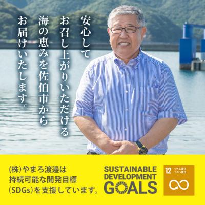 ふるさと納税 佐伯市 <定期便・全6回 (隔月)>訳あり 干物大満足BOX (240尾以上) |  | 03