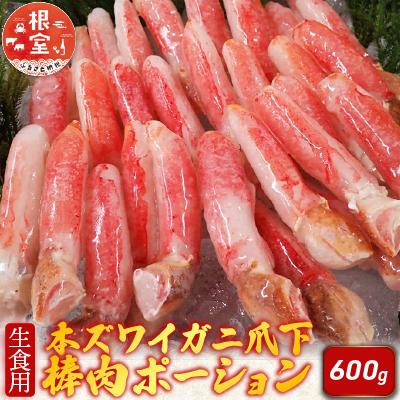 ふるさと納税 根室市 生食用本ズワイガニ爪下棒肉ポーション600g A-14236