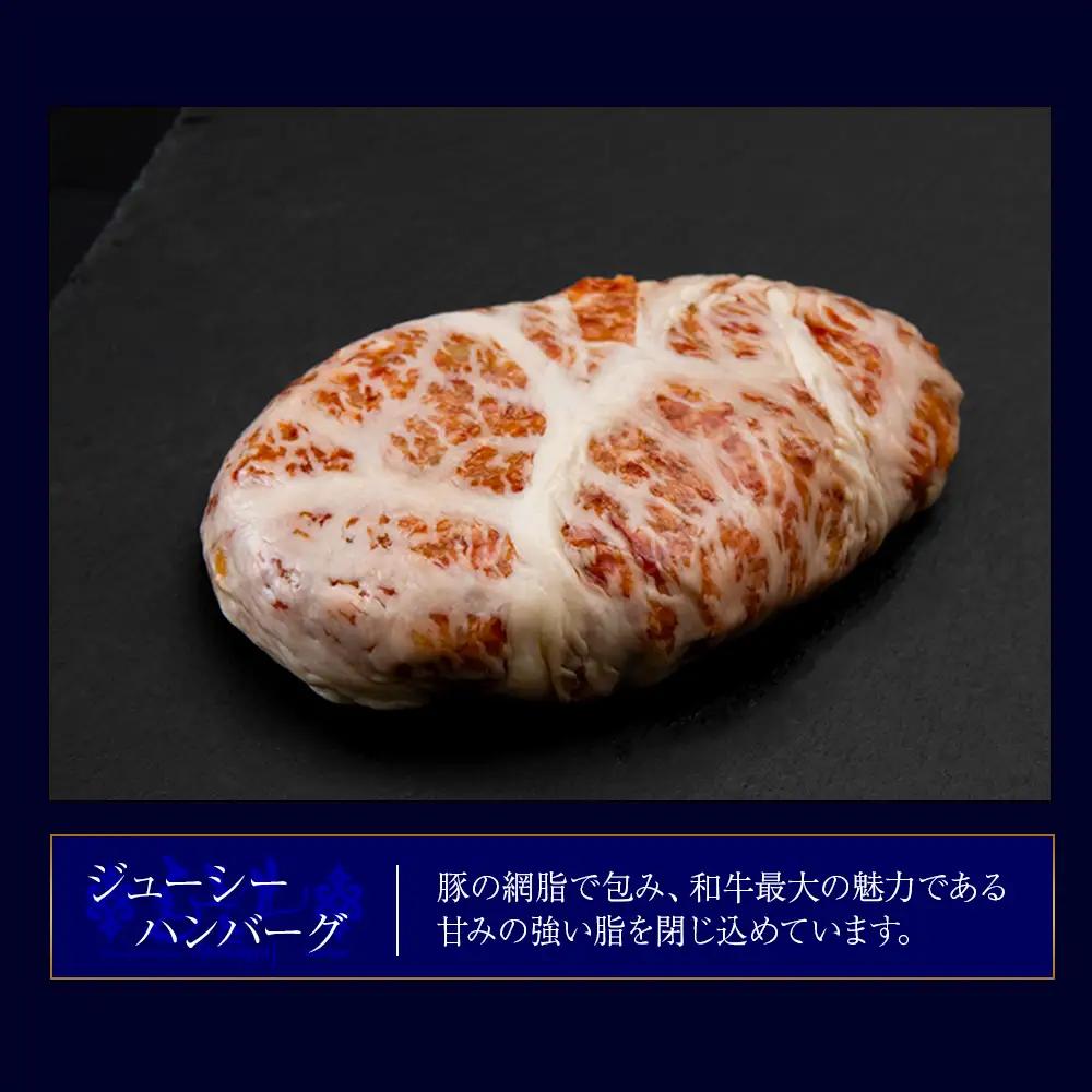 定期便12カ月 お楽しみ 白老牛 2種 食べ比べ ハンバーグ セット 合計10個 BY108