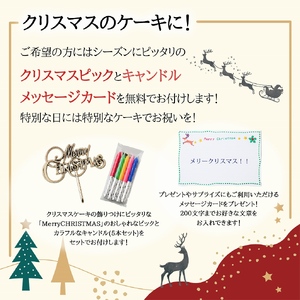 低糖質 クリスマスケーキ 糖質73％カット フルーツ彩りチーズケーキ(キャンドル・Xmasプレート付) 0007-010-S05