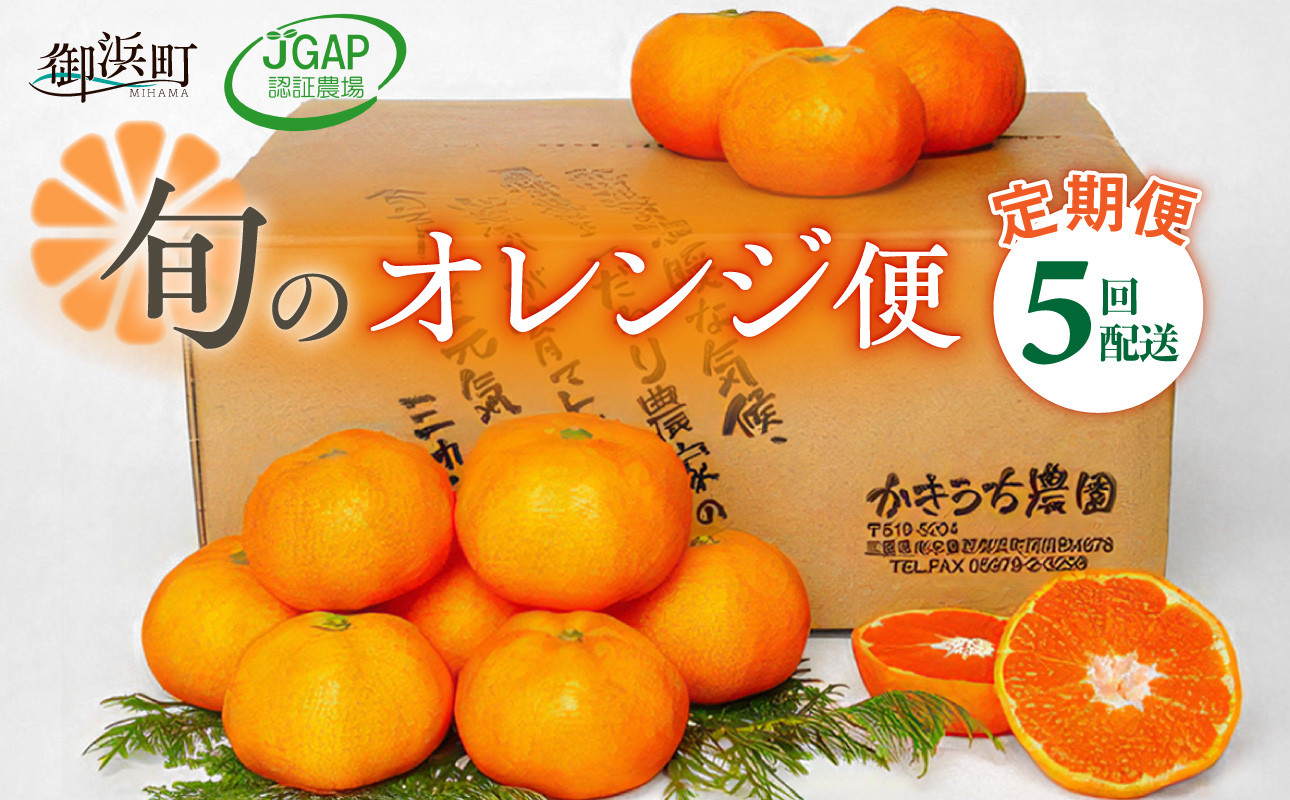 
            かきうち農園のオレンジ便（全5回）【果物 フルーツ みかん オレンジ デザート 定期便 定期 5回 三重県 御浜町】
          