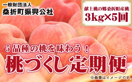 No.199 桃づくし定期便【献上桃の郷桑折町産桃3kg×5回】5品種の桃を味わう！