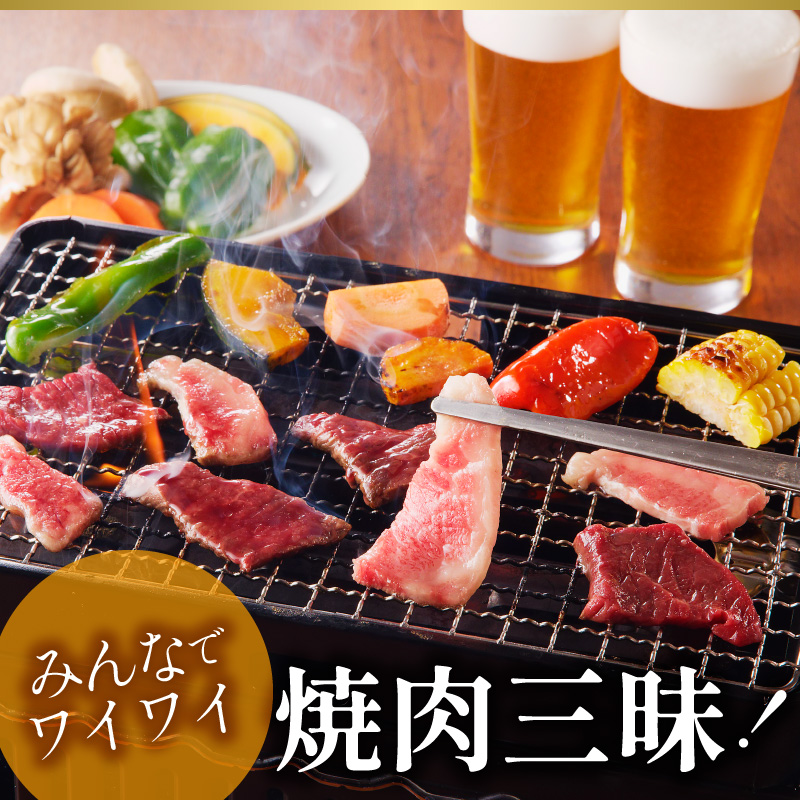 延岡育ちの宮崎牛おまかせ焼肉セット N023-YZA304_イメージ3