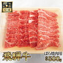 【ふるさと納税】飛騨牛バラ焼き肉用　計約500g（5等級／冷凍） [No.126] ／ 牛肉 ブランド牛 ばら 焼肉 やきにく 送料無料 岐阜県 特産