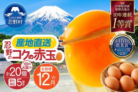 【12ヶ月定期便】”忍野の卵”コクの赤玉20個×12回 ※割れ保証含む 卵