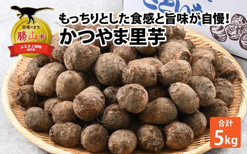 里芋 令和8年産 かつやま里芋 5kg 先行予約 [A-005013]