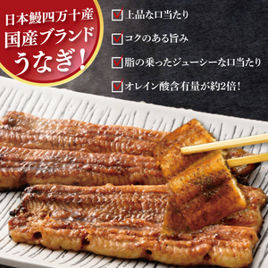 【胡豆柑】日本鰻・蒲焼・白焼きのセット【うなぎ 鰻 かば焼き 白焼 タレ 土用丑の日 水戸市 茨城県】（DH-2）