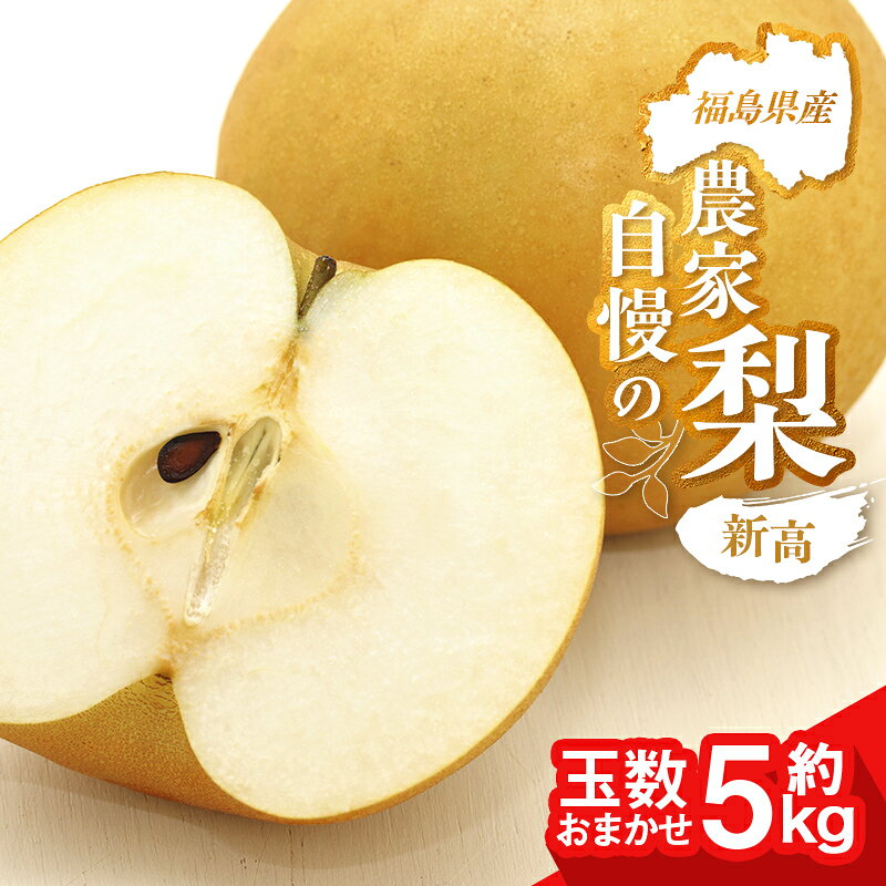【ふるさと納税】農家自慢の梨 新高 約5kg（玉数おまかせ） なし ナシ 梨 デザート フルーツ 果物 くだもの 果実 食品 FAI-0073