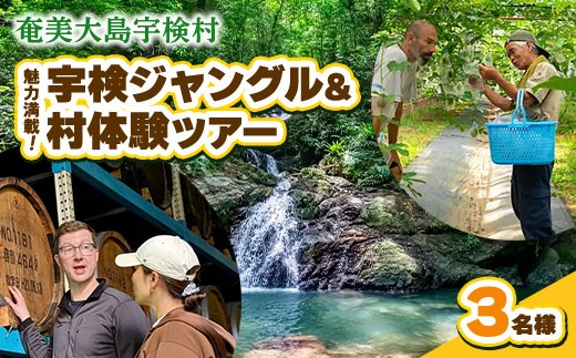 宇検村ジャングル＆村体験ツアー 3名様 奄美大島 宇検村 鹿児島県 旅行 自然 冒険 完全プライベート
