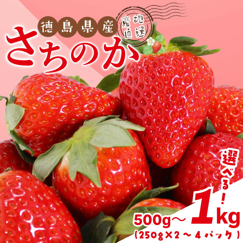 【ふるさと納税】 いちご 500g から 1kg 選べる 容量 さちのか 苺 イチゴ ストロベリー 数量限定 徳島県産 ichigo strawberry itigo 2月上旬より順次出荷 徳島県