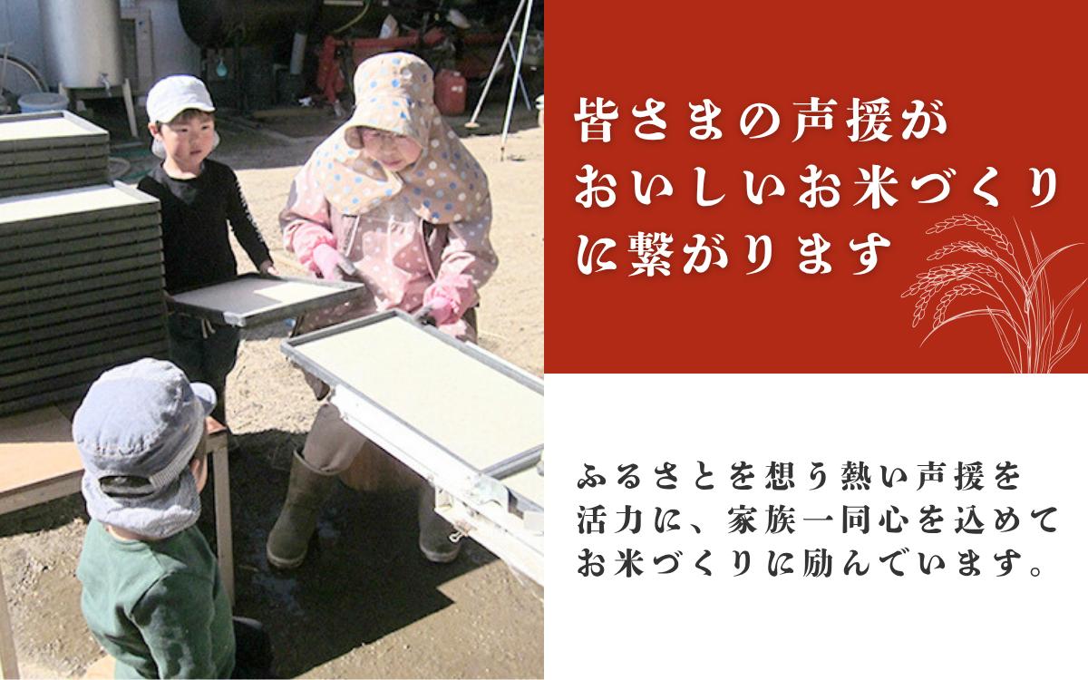 米 令和7年 関口さんちのお米 コシヒカリ 3kg お米 こめ コメ 新米 精米 白米 ご飯 こしひかり 長野 信州