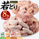 【ふるさと納税】 若どり 4種 セット もも肉 むね肉 手羽先 手羽元 (計8kg) 鹿児島県産 若鶏 唐揚げ や 炭火焼 焼き鳥 等 あらゆる おかず に最適 ふるさと納税 鶏肉 国産鶏 鶏もも 鶏もも肉 鶏むね肉 手羽 ふるさと 人気 ランキング 【まつぼっくり】matu-6101