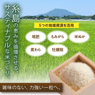 ふるさと納税 糸島市 にじのきらめき 白米 5kg 糸島市産 糸島市 / 糸島の恵み コメ こめ ご飯 [AGR004] |  | 01