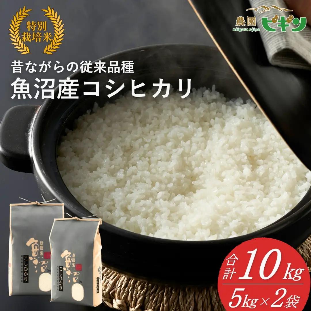 【令和8年産 先行予約】 昔ながらの魚沼産コシヒカリ 従来品種 精米 10kg（5キロ×2袋）農園ビギン|おこめ 特A評価 小千谷市 コシヒカリ