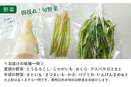 五島よかとこ便 特選鮮魚入り 野菜 加工品 おまかせ お楽しみ セット 五島市 / GOTO Challenged 椿 [PDU002] 鮮魚 野菜 加工品 おまかせ お楽しみ セット 鮮魚 野菜 加