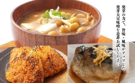 【バランス農法】農薬や肥料を使わずに育てたユキホマレで仕込んだ発芽大豆味噌【味噌 味噌 味噌 味噌 味噌 味噌 】