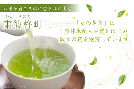 緑茶 長崎 ティーバッグ 緑茶 ティーバッグ 5g 16パック 2袋