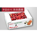 【ふるさと納税】 《先行予約》2025年 山形県産 紅さやか バラ詰め(パック）500g M～L やまのべ多田耕太郎のさくらんぼ サクランボ フルーツ 果物 くだもの F4A-0481