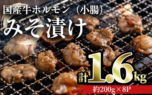 国産牛ホルモン（小腸）みそ漬け(計1.6kg・約200g×8パック) 牛肉 ホルモン みそ漬け【おきどき】A886