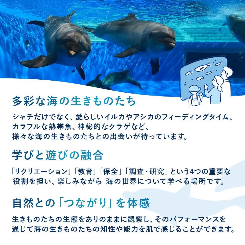 神戸須磨シーワールド入館券　3枚セット（有効期限：2026年4月1日～9月30日）