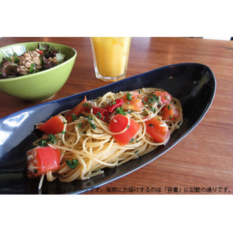 ARITA PORCELAIN LAB(アリタポーセリンラボ) 墨ルリ・ペア楕円皿(中) 有田焼 モダン パスタ皿 カレー皿 A35-217_イメージ3