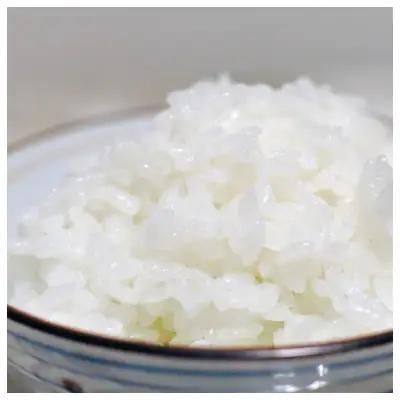 ＜令和7年産＞ 元気つくし 無洗米 2kg×3袋【ご飯 米 お米 小分け 筑前町 福岡県 AB010】