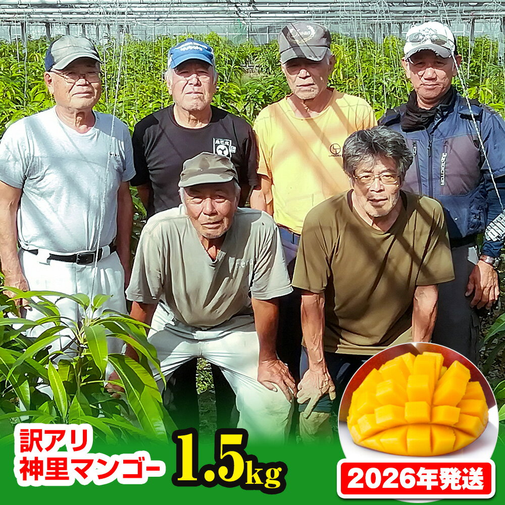 【ふるさと納税】【訳あり】2026年発送　生産組合から直送　神里マンゴー1.5kg