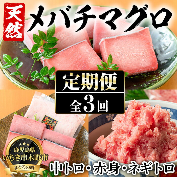 【ふるさと納税】＜定期便・全3回(毎月)＞天然メバチマグロ！中トロ・赤身・ネギトロ(総量1.8kg) まぐろ 鮪 刺身 海鮮丼 海鮮 魚介 タタキ さかな 頒布会【海鮮まぐろ家】