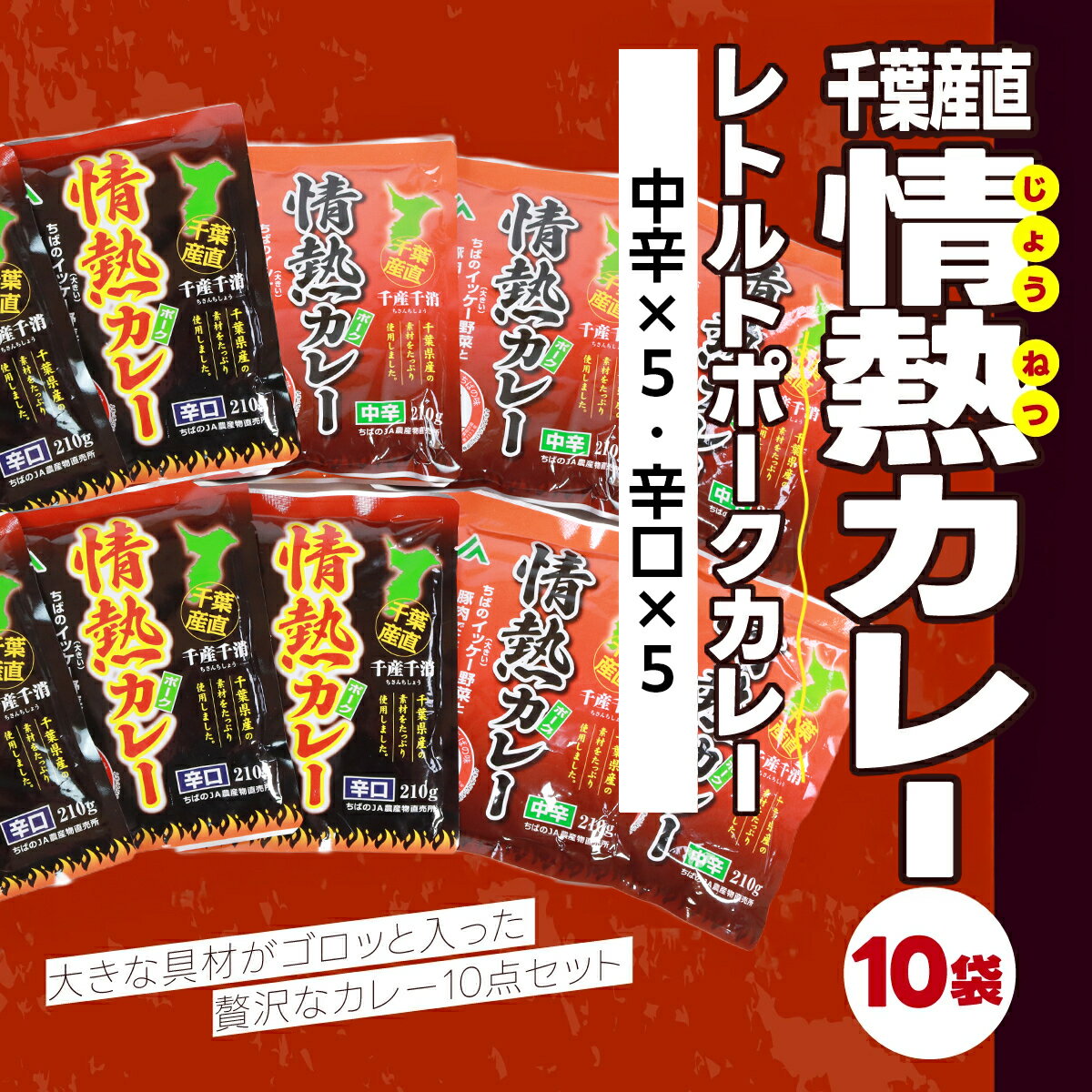 【ふるさと納税】 千葉産直情熱カレー10袋セット(中辛5個・辛口5個）レトルトポークカレー カレー かれー curry ポークカレー レトルト レトルトポークカレー 10袋 セット 贅沢 ボリューム 地産地消 JA富里 農協 ちば 千葉県産とみさと 富里 富里市 TMF007