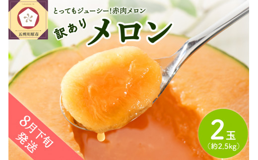 【2025年8月下旬発送】【訳あり】メロン2.5kg程度(赤肉2玉)津軽産