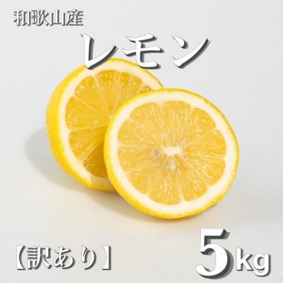 ふるさと納税 九度山町 【2027年1月中旬より順次発送】和歌山産　レモン　家庭用　5kg　S〜4Lサイズ混合