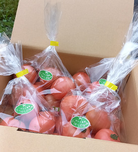 トマト 2kg 500g×4袋 麗月 くぼなか農園 | A66