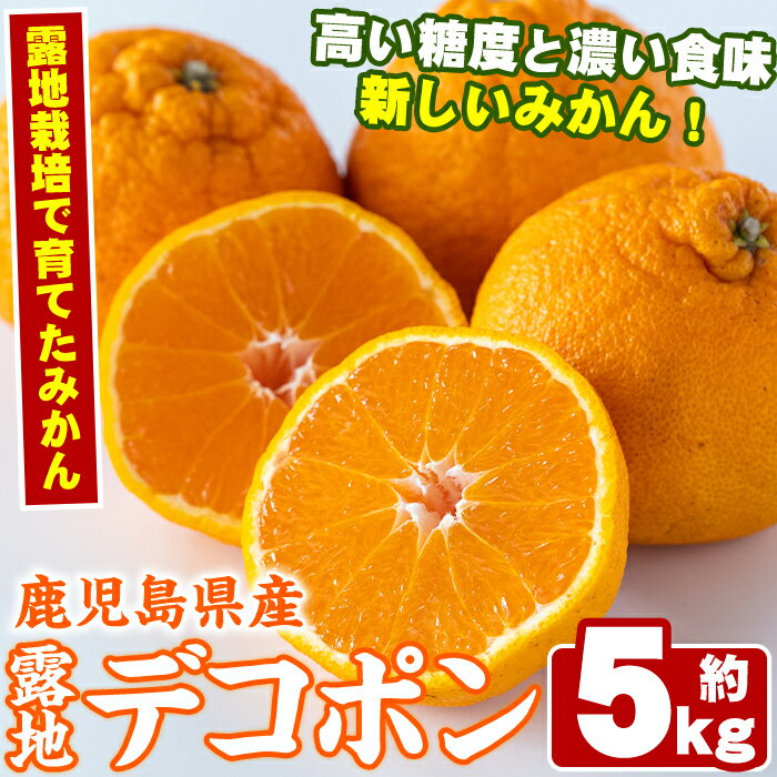 【ふるさと納税】＜先行予約受付中！2026年3月以降順次発送予定＞鹿児島県産！露地デコポン(約5kg・15〜24玉)果物 冬 春 柑橘 みかん 蜜柑 フルーツ 期間限定 数量限定【鹿児島いずみ農業協同組合】akn018-10