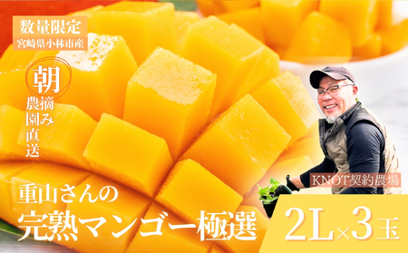 【2027年発送 先行予約】濃厚果肉 みやざき完熟マンゴー極撰 2L×3玉（マンゴー フルーツ アップルマンゴー 果物 くだもの 2027 先行受付 宮崎）