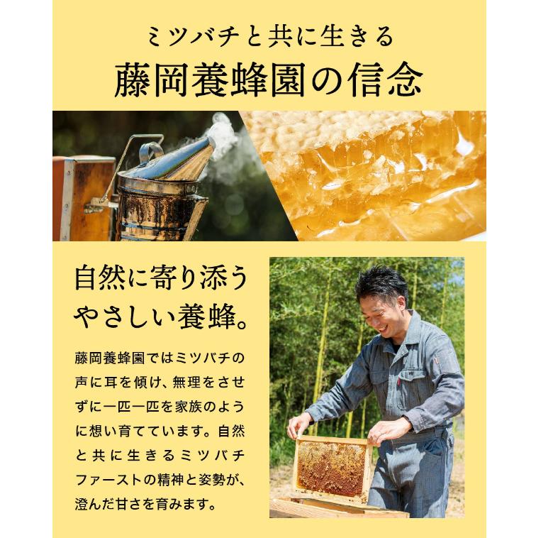 【2025年採蜜予約受付 2025年8月から順次発送】 完熟はちみつ　120g （藤岡養蜂園）004FY01N. ／ 完熟 熟成 天然 ハチミツ 養蜂 蜂蜜 ミツバチ しりばり 瓶 