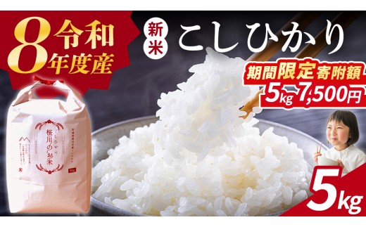 
                  《 令和8年産 》 桜川市産 こしひかり 5kg 新米 先行予約 茨城県 桜川市 米 お米 白米 コメ ごはん 精米 コシヒカリ 国産 限定 銘柄米 [SC051sa]
                