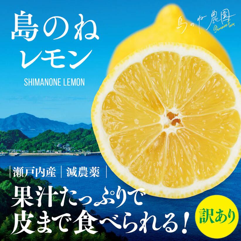 【ふるさと納税】【先行予約】【訳あり】島のねレモン　2.5kg 【K001600】れもん　レモン　檸檬　愛媛県産　フルーツ　果物　瀬戸内海産　減農薬　今治産　訳アリフルーツ　訳ありフルーツ　訳あり果物　減農薬レモン