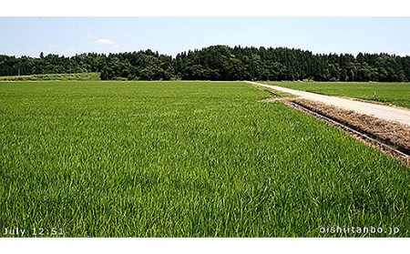 【令和6年産新米】山形県産三銘柄 白米食べ比べセット(計6kg) FZ20-494