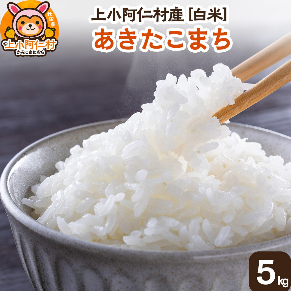 【ふるさと納税】《令和7年産 新米受付》上小阿仁村産 あきたこまち 5kg 白米