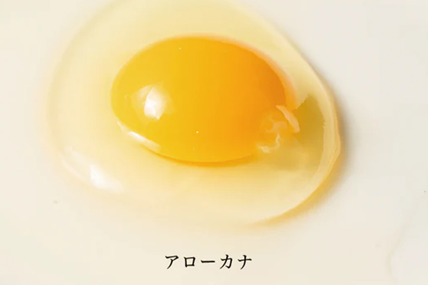 上原養鶏場のはっこう卵 3種食べ比べMS~Lサイズ 55個+破卵保障5個