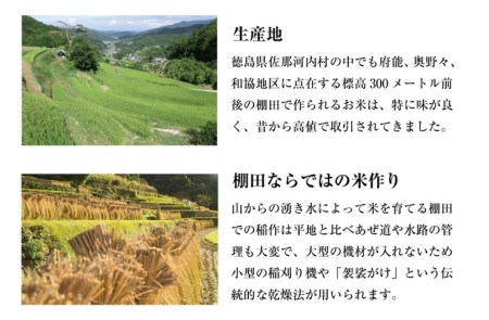 ”清流と寒暖差が生む”村自慢の「棚田米」 10kg　《10月上旬-10月末頃発送》ヒノヒカリ