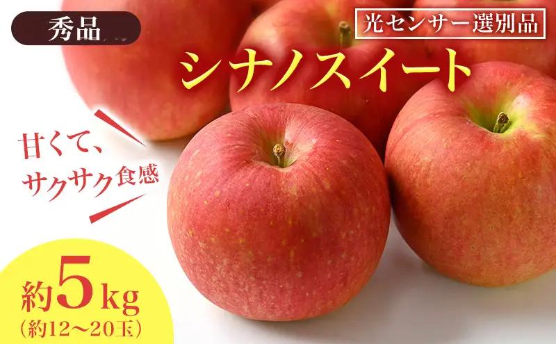 りんご シナノスイート 秀品 約5kg 12～20玉入 りんご