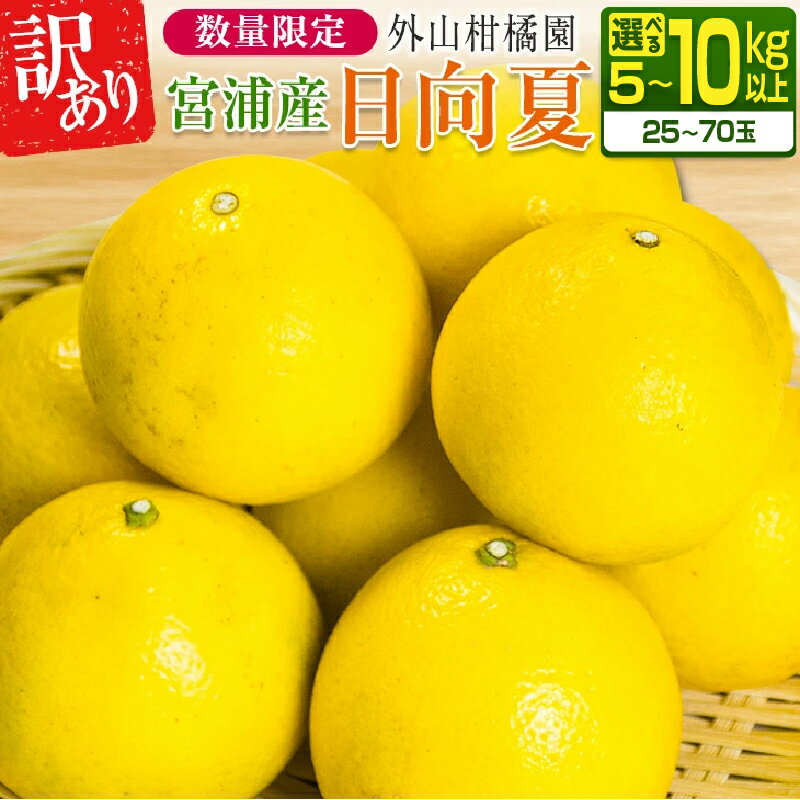 【ふるさと納税】≪内容量が選べる≫先行予約 訳あり 宮浦産 日向夏 期間限定 数量限定 フルーツ 果物 くだもの 柑橘 みかん 令和8年発送 国産 産地直送 新鮮 食品 ジュース デザート フルーツサンド おやつ ご褒美 おすそ分け ご家庭用 5kg 10kg 宮崎県 日南市 送料無料