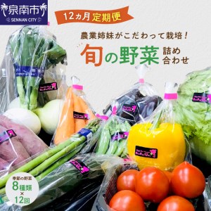 農業姉妹がこだわって栽培！旬の野菜詰め合わせ8種 1年定期便【024A-010】